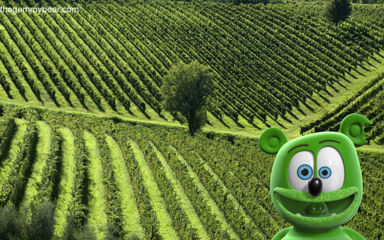 italy tuscany vineyards around the world with gummibar gummy bear song HD youtube cartoon youtuber