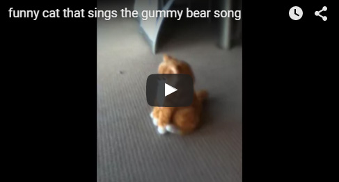 Gummibar The Gummy Bear Song Singing Cat